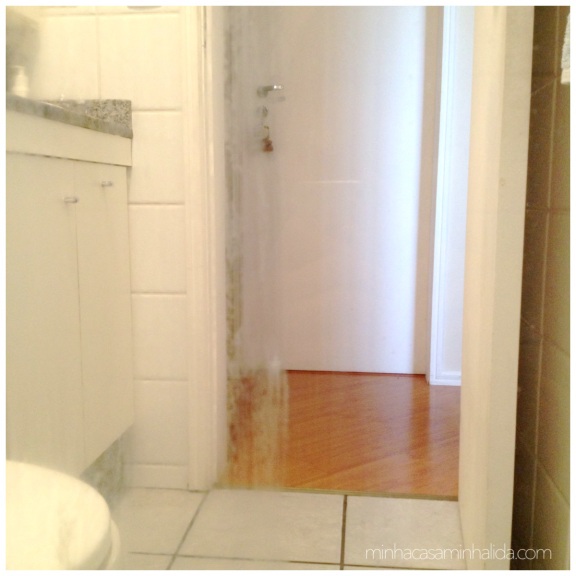 limpar_vidro_banheiro